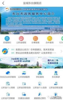 东台官方旗舰店盛大启航，盐城首家创新平台引领区域发展