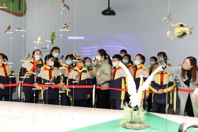 文博创新，IP出圈 看江苏盐城如何让城市文化“活”起来